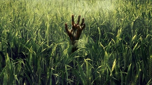 Stephen King Uyarlaması "In the Tall Grass"dan İlk Fragman! haber görseli
