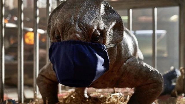 Jurassic World: Dominion Çekimleri Durduruldu! haber görseli