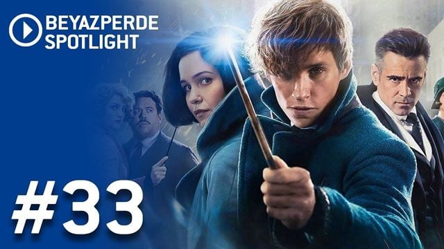 Spotlight: "The Secrets of Dumbledore", "Saygı", "Spencer"