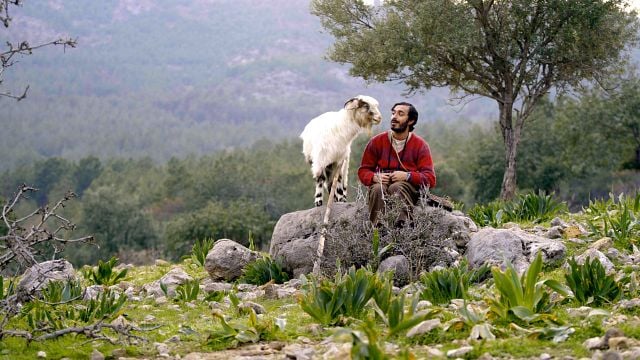 Turna Misali, Dünya Prömiyerini Tokyo Film Festivali’nde Yapacak
 haber görseli
