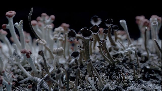 ‘Yeni Başlangıçlar, Umuyoruz’ Film Seçkisi Kundura Sinema’da haber görseli