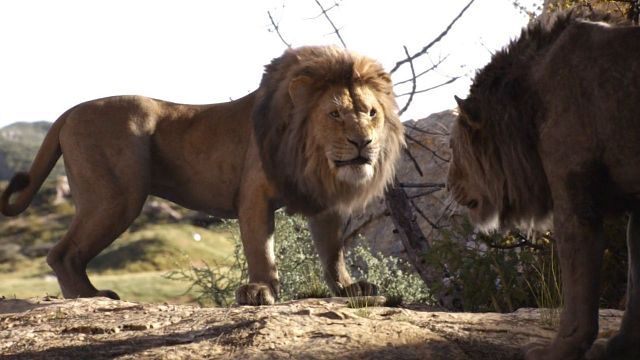 "Aslan Kral 2" Mufasa ve Scar'ın Gençliğini Anlatacak haber görseli