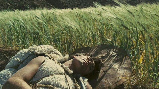 24 Mayıs - 5 Haziran Sinematek/Sinema Evi Film Gösterimleri haber görseli