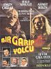 Bir Garip Yolcu posteri