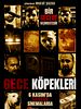 Gece Köpekleri posteri