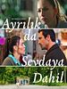 Ayrılık da Sevdaya Dahil posteri