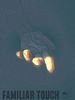 Familiar Touch posteri