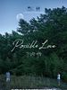 Possible Love posteri