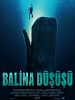  Balina Düşüşü posteri