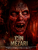 Cin Mezarı posteri