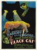 The Black Cat posteri