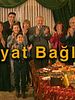 Hayat Bağları posteri