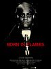 Born in Flames posteri
