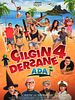 Çılgın Dersane 4: Ada posteri