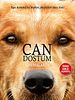 Can Dostum posteri