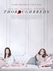 Thoroughbreds posteri
