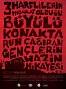 ...Büyülü Konakta Ruh Çağıran Gençlerin Hazin Hikayesi posteri