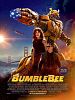 Bumblebee posteri