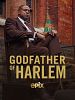 Godfather of Harlem posteri