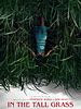 In the Tall Grass posteri