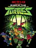 Rise Of The Teenage Mutant Ninja Turtles posteri