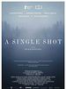 A Single Shot posteri