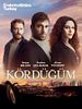 Kördüğüm posteri