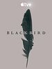 Black Bird posteri