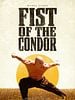 El Puño del Cóndor posteri
