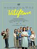 Wildflower posteri