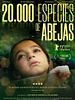20.000 especies de abejas posteri
