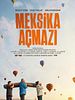 Meksika Açmazı posteri