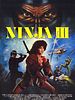 Ninja III: The Domination posteri