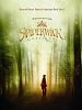 Spiderwick Günceleri posteri
