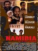 Namibia: The Struggle for Liberation posteri