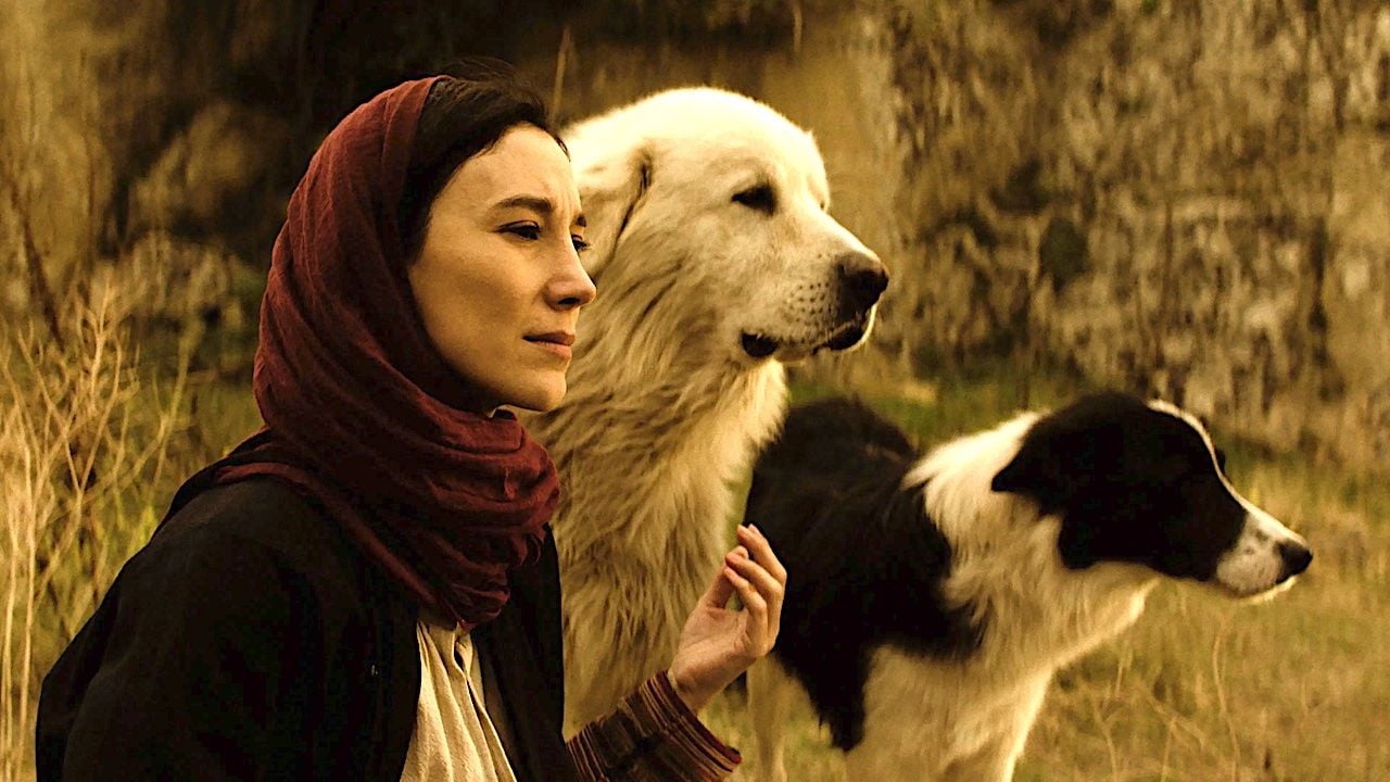 TV+ın Temmuz Ayı İçeriklerinde Neler Var?