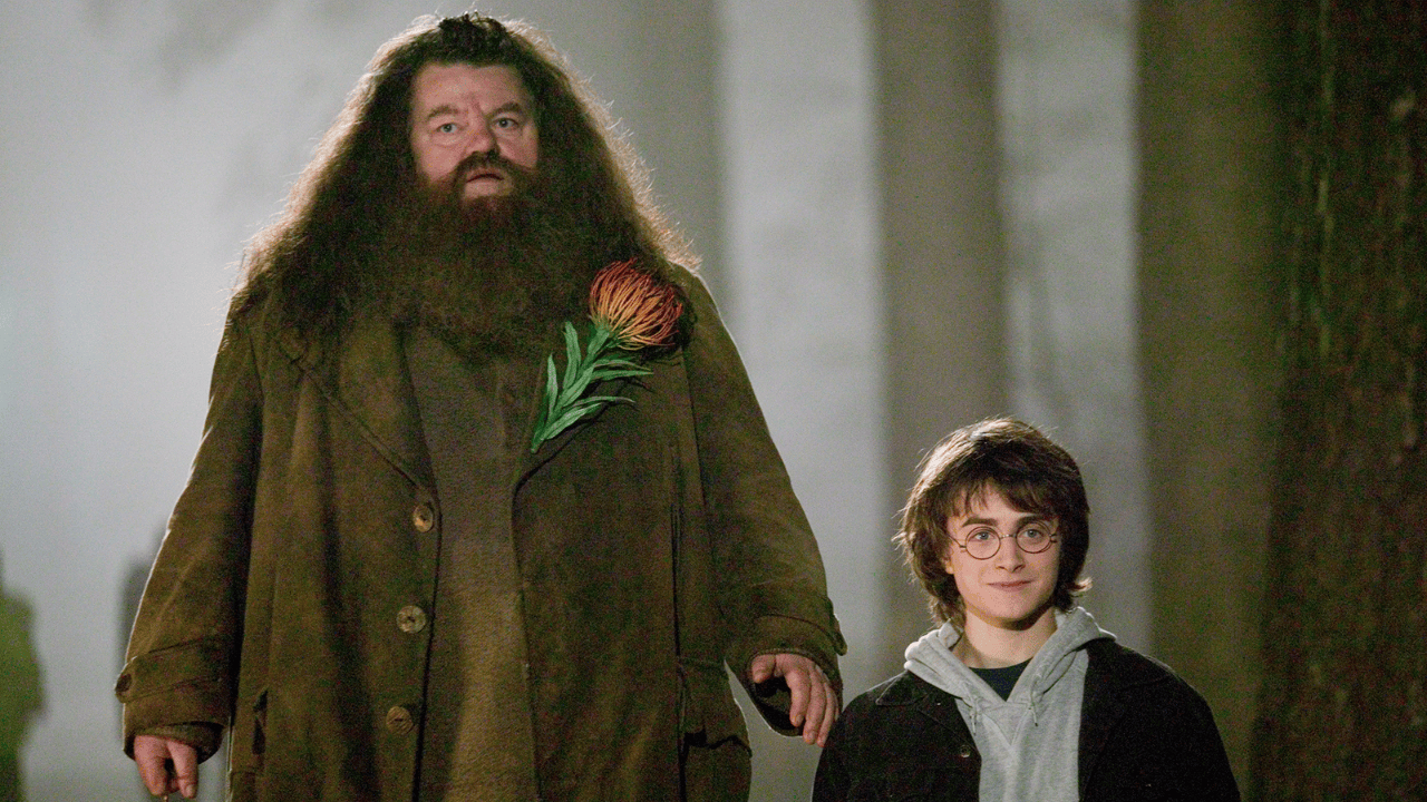 Nick Frost İlk Kez Hagrid Kostümünde: HBO’nun “Harry Potter” Dizisinden Yeni Görsel Geldi