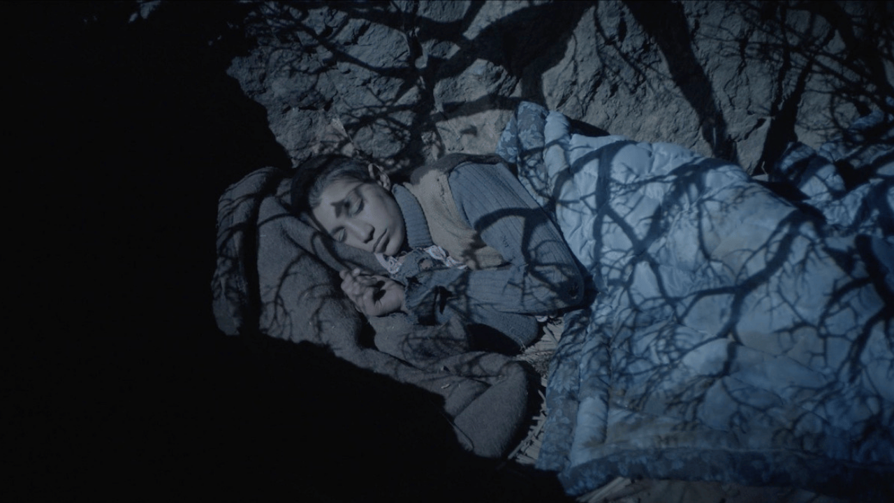 Tallinn'den Ödüllerle Dönen “Tavşan İmparatorluğu”, Türkiye Prömiyerini Antalya Film Festivali'nde Yapıyor