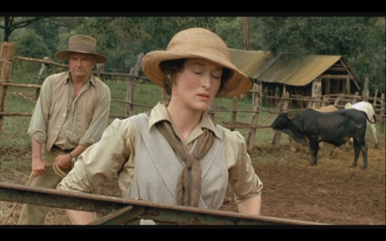 Out Of Africa Vintage Hard