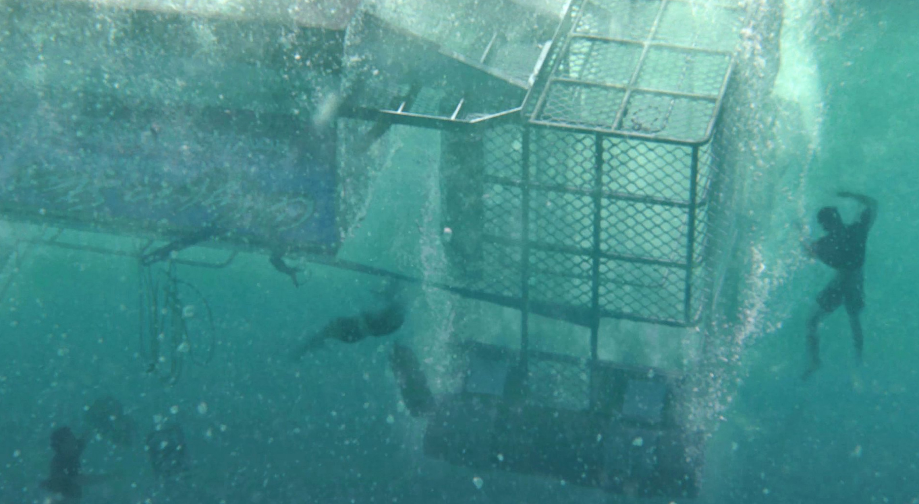 Над глубиной. Над глубиной: хроника выживания фильм 2017. Open Water 3 Cage Dive. Над глубиной: хроника выживания фильм 2017 кадры. Фильмы про выживание под водой на глубине.