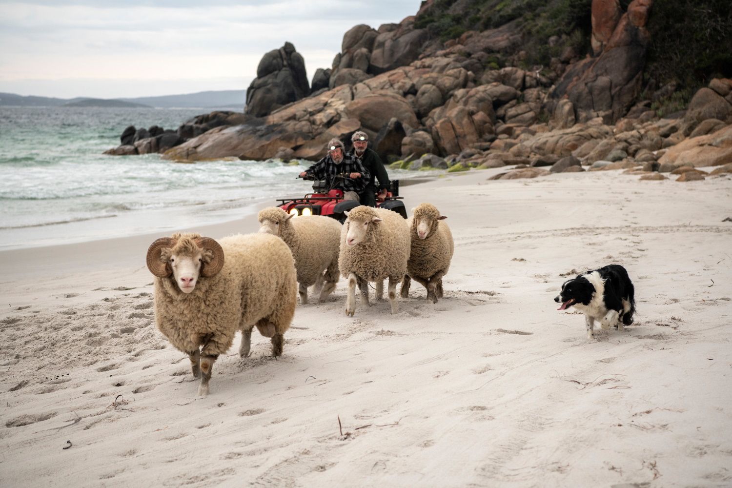 Rams resimleri - Fotoğraf 4 - Beyazperde.com