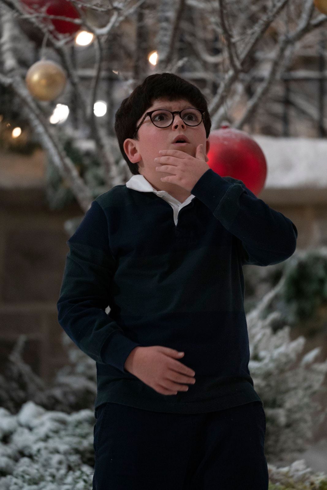 Home Sweet Home Alone resimleri Fotoğraf 3