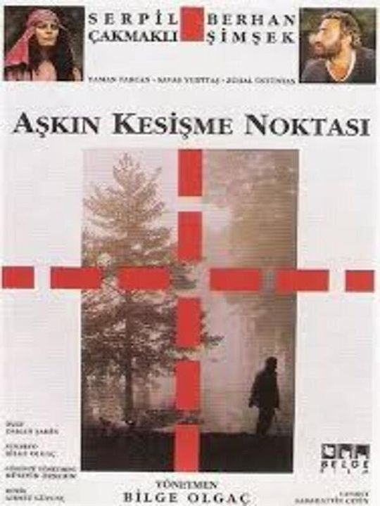 Aşkın Kesişme Noktası : Afiş