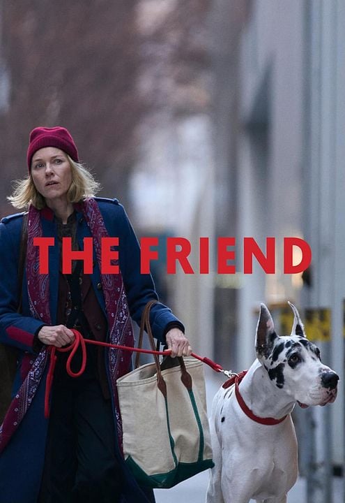 The Friend : Afiş