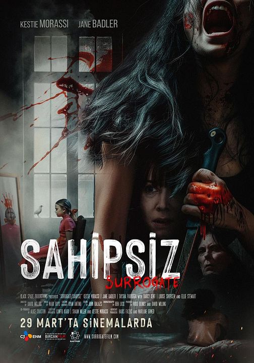 Sahipsiz : Afiş