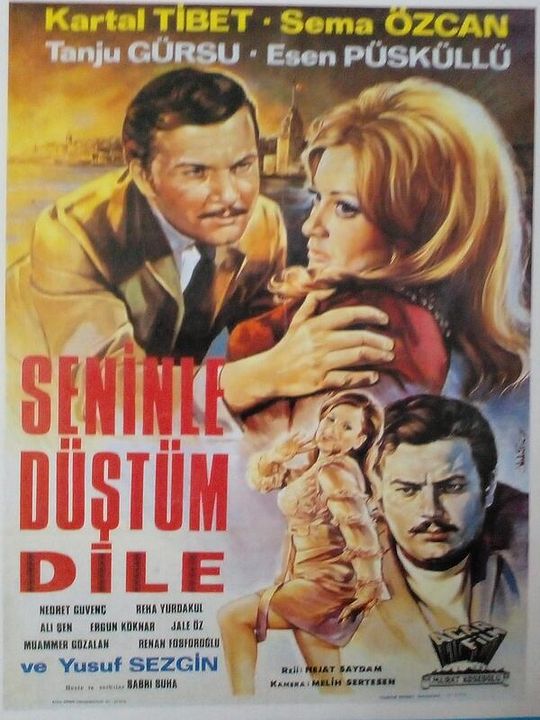 Seninle Düştüm Dile : Afiş