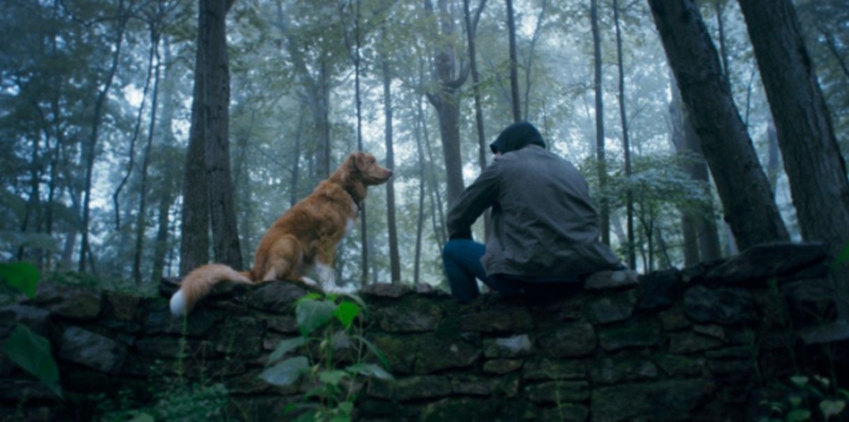 Good Boy : Fotoğraf Indy (II) 