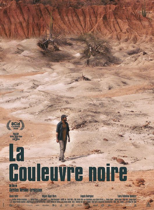 La Couleuvre noire : Afiş