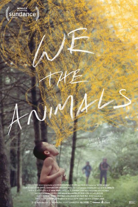 We The Animals : Afiş