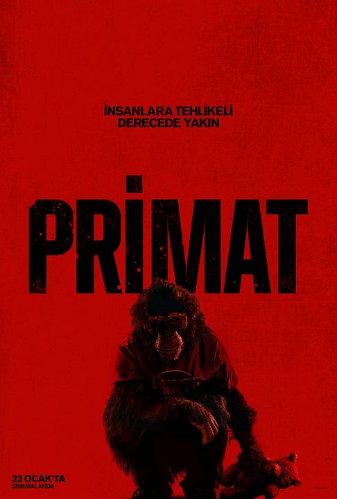 Primat : Afiş